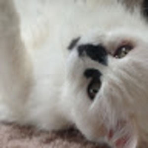 Meet your Posher, Cindy